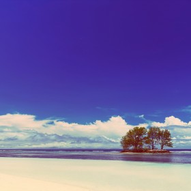 White-Coral-Beach-Sand-And-Azu.jpg