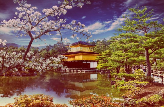 bigstock-gold-temple-japan-44883001