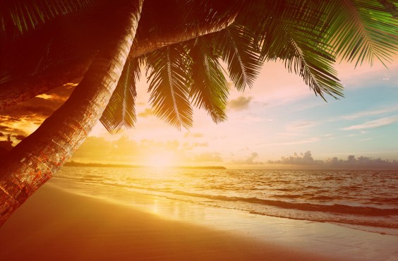 bigstock-sunrise-on-Caribbean-beach-41952856